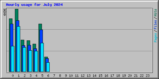 Hourly usage for July 2024
