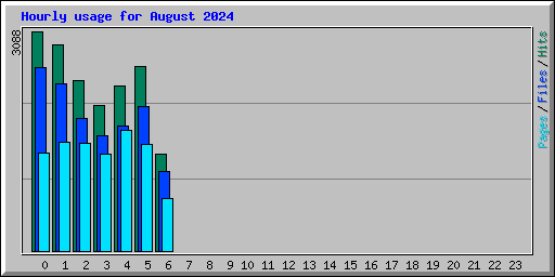 Hourly usage for August 2024