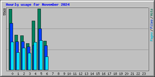 Hourly usage for November 2024