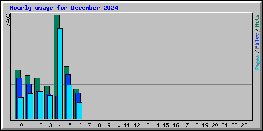Hourly usage for December 2024