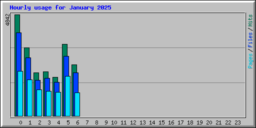 Hourly usage for January 2025