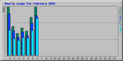 Hourly usage for February 2025