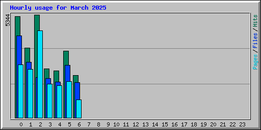 Hourly usage for March 2025