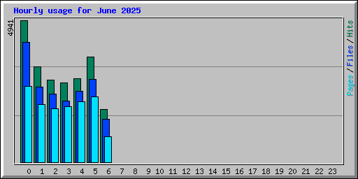 Hourly usage for June 2025