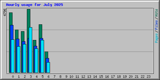 Hourly usage for July 2025