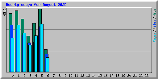 Hourly usage for August 2025