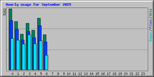 Hourly usage for September 2025