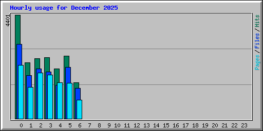 Hourly usage for December 2025