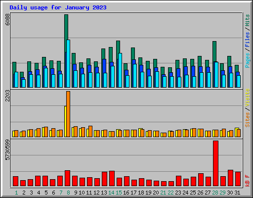 Daily usage for January 2023