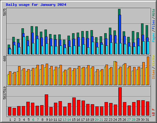 Daily usage for January 2024