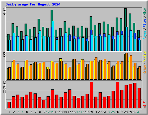 Daily usage for August 2024