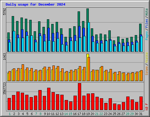 Daily usage for December 2024