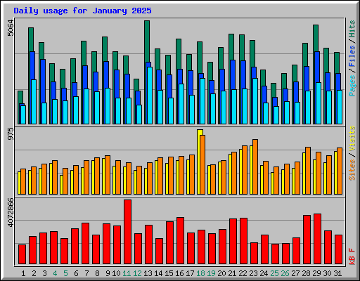 Daily usage for January 2025
