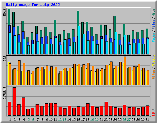 Daily usage for July 2025