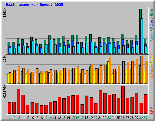 Daily usage for August 2025