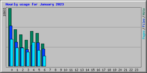 Hourly usage for January 2023