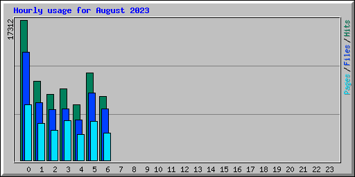 Hourly usage for August 2023