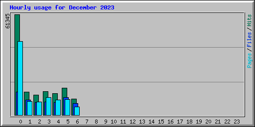 Hourly usage for December 2023