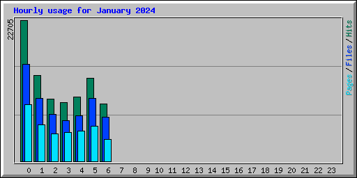 Hourly usage for January 2024