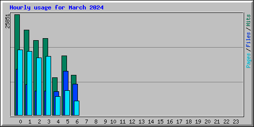 Hourly usage for March 2024