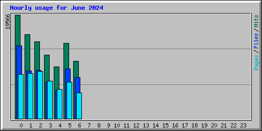 Hourly usage for June 2024