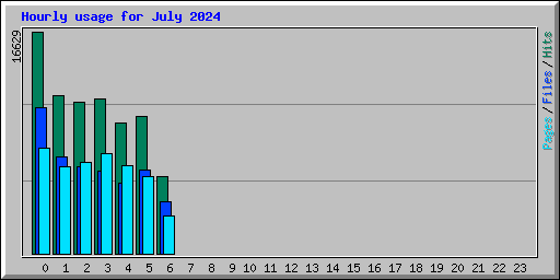 Hourly usage for July 2024