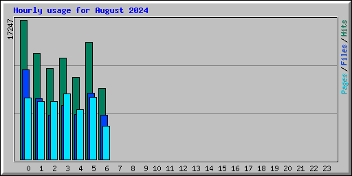 Hourly usage for August 2024