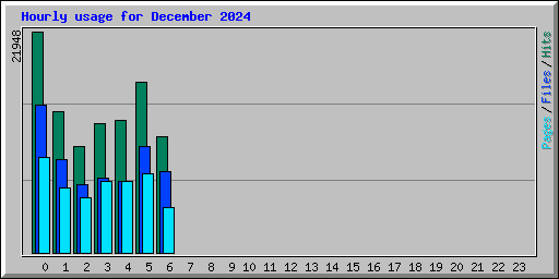 Hourly usage for December 2024