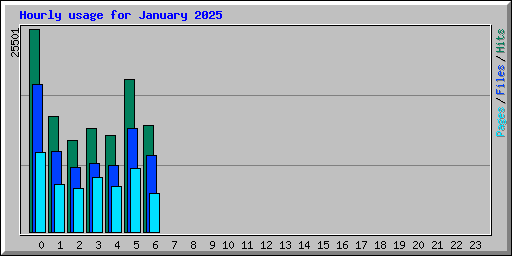 Hourly usage for January 2025