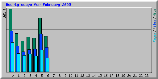 Hourly usage for February 2025