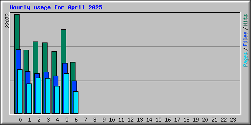 Hourly usage for April 2025