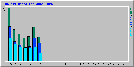 Hourly usage for June 2025