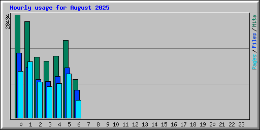 Hourly usage for August 2025