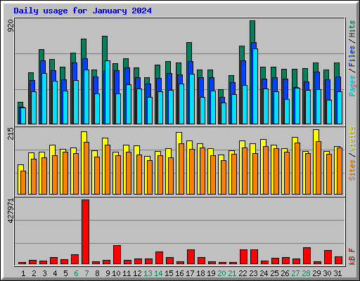 Daily usage for January 2024