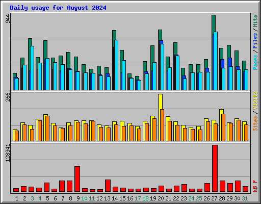 Daily usage for August 2024