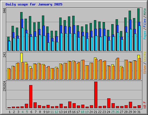 Daily usage for January 2025