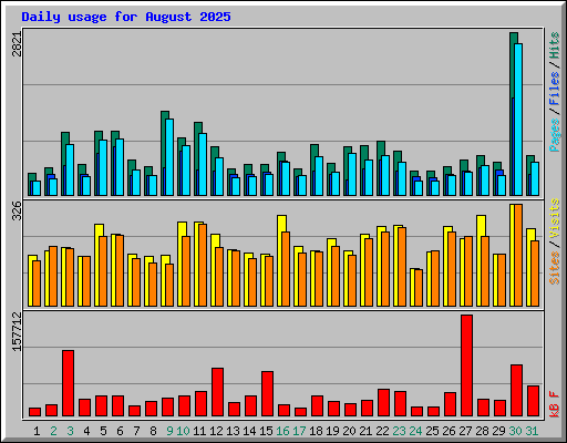 Daily usage for August 2025