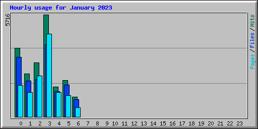 Hourly usage for January 2023