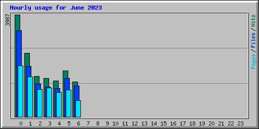 Hourly usage for June 2023