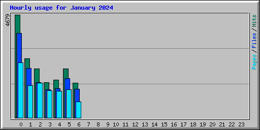 Hourly usage for January 2024