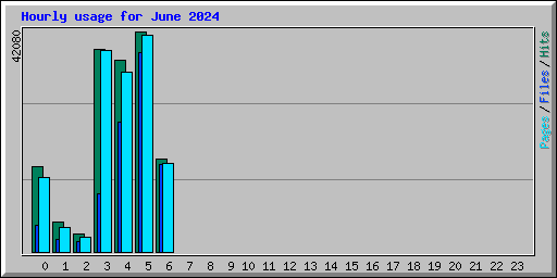 Hourly usage for June 2024