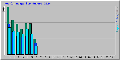 Hourly usage for August 2024