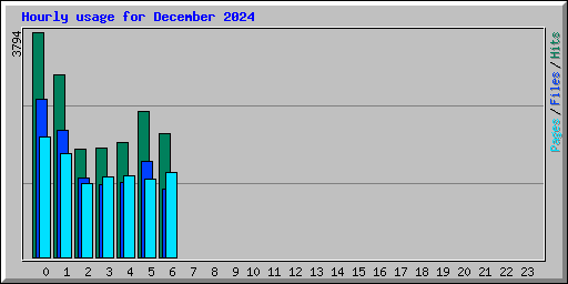 Hourly usage for December 2024