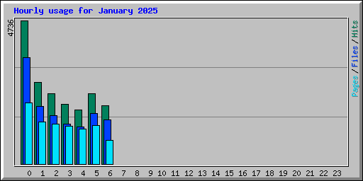 Hourly usage for January 2025