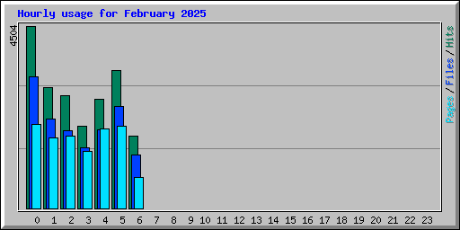 Hourly usage for February 2025