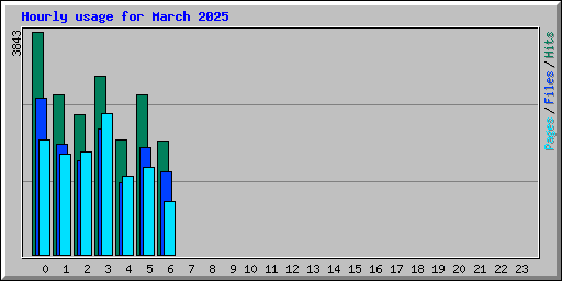 Hourly usage for March 2025