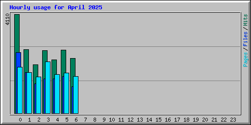 Hourly usage for April 2025