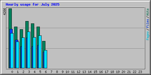 Hourly usage for July 2025