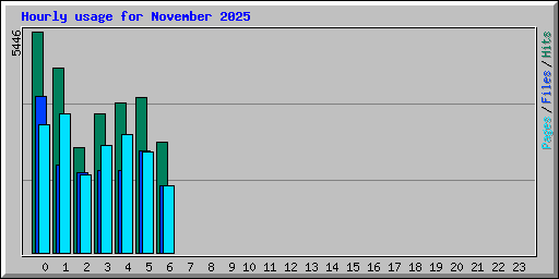 Hourly usage for November 2025