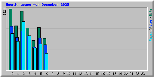Hourly usage for December 2025